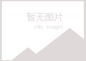 汉川紫山能源有限公司